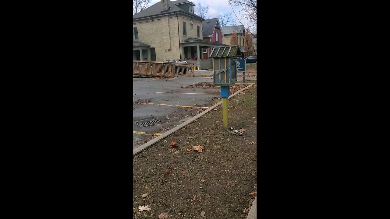 A Yellow and Blue Little Free Library
