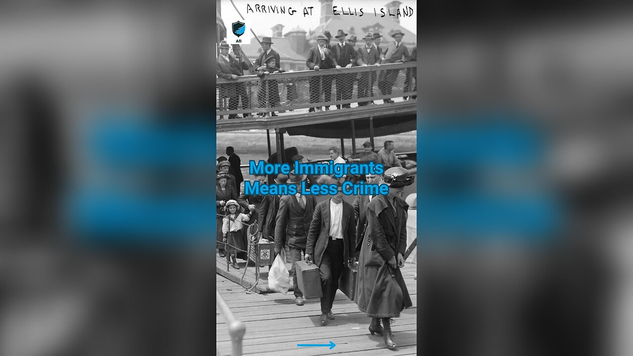 ⬆️ More Immigrants Means Less Crime ⬇️