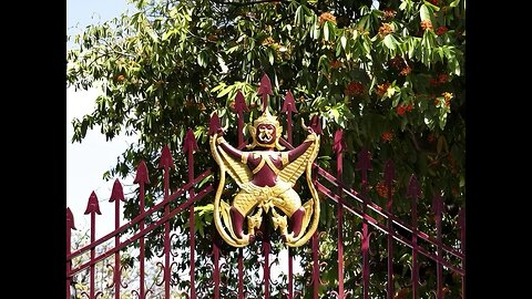 Protector de la reja