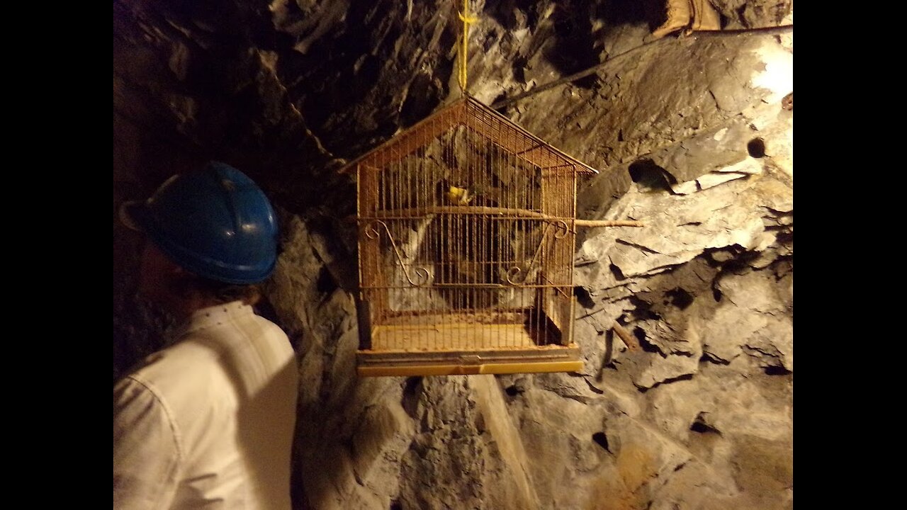 Darr Moon and the Canary in the Mine 09.25.2025