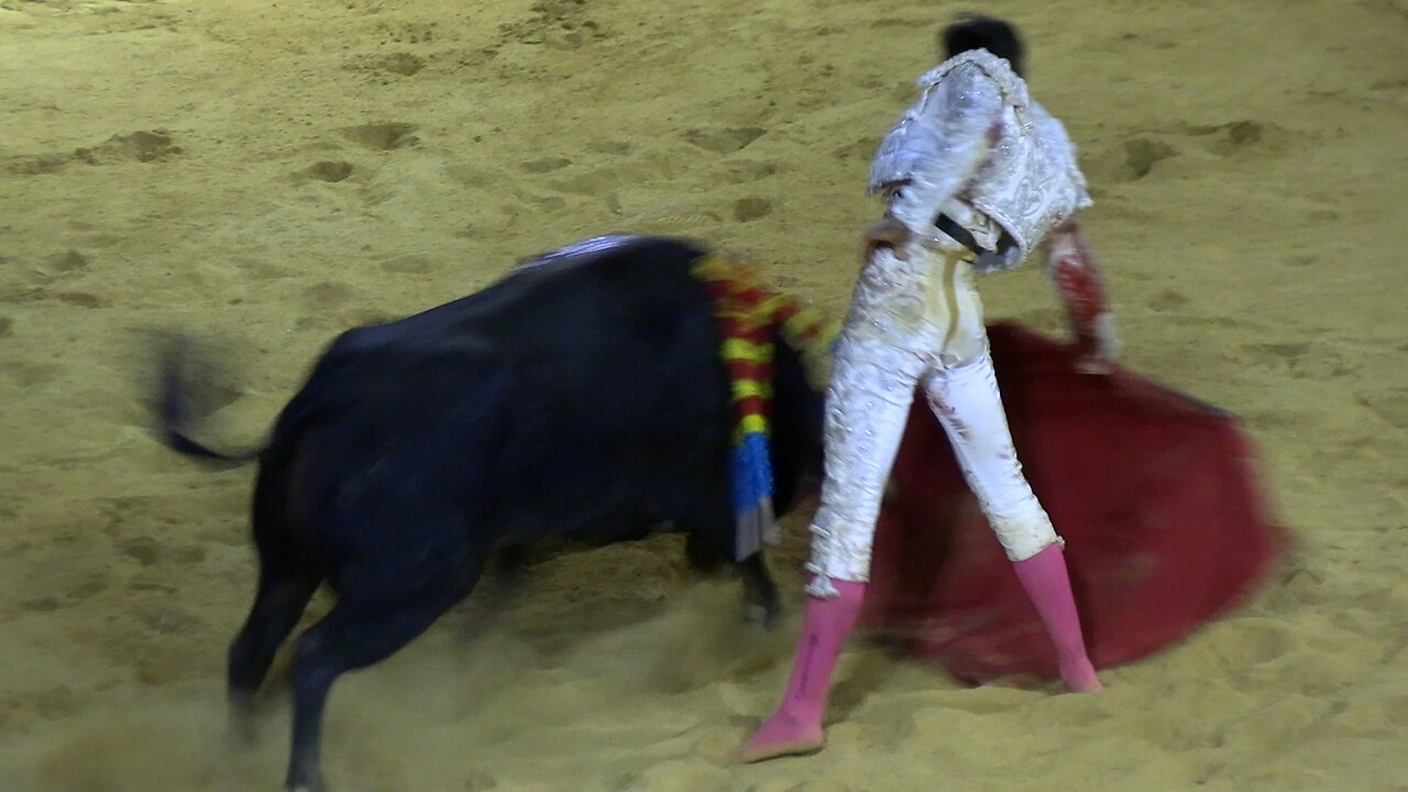 2025 09 20 ALGEMESÍ NOVILLADA PICADA OSBORNE