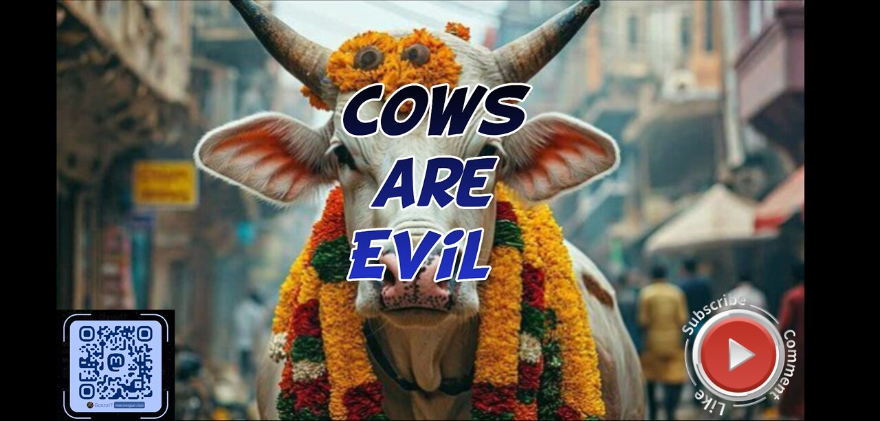 Cows are evil