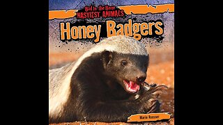 Honey Badger Don't Care