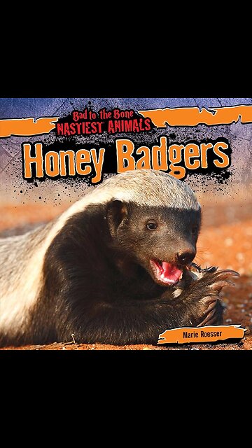 Honey Badger Don't Care