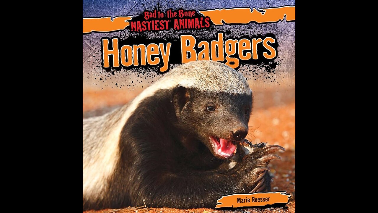 Honey Badger Don't Care