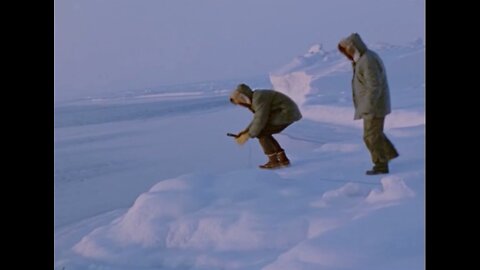 In Search of the Bowhead Whale 1974 Arctic Ocean - french narration