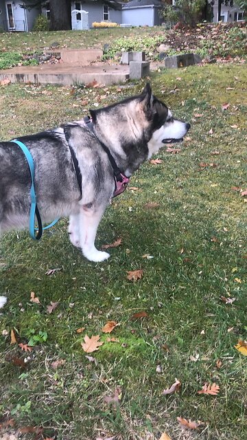 Tuesday October 21, It is clear that no one can ever be right with God by trying to keep the law.