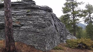 The original forest on flat earth part 2