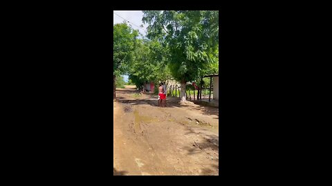 Funny 😆🤣 Animals 🤣 videos