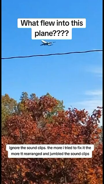 Is It A Bird Or Is It A Drone That Flew Into The UPS Plane?