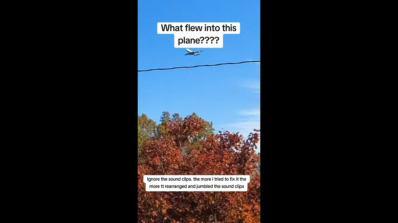 Is It A Bird Or Is It A Drone That Flew Into The UPS Plane?