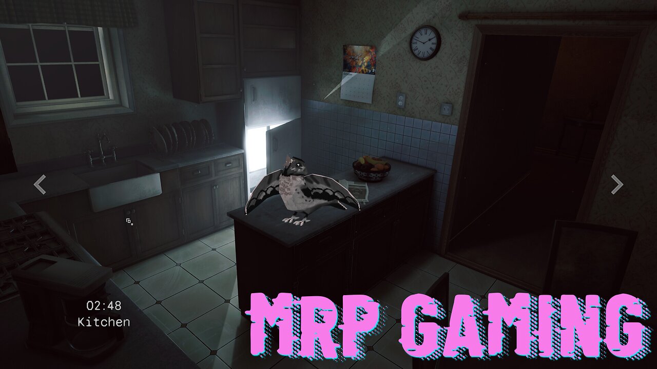 MRP Game Stream: "Flock Around Demo" + "Observation Duty 8"