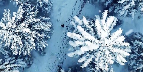 00022-Frosty the Snowman and the Best Christmas Songs of All Time Best.