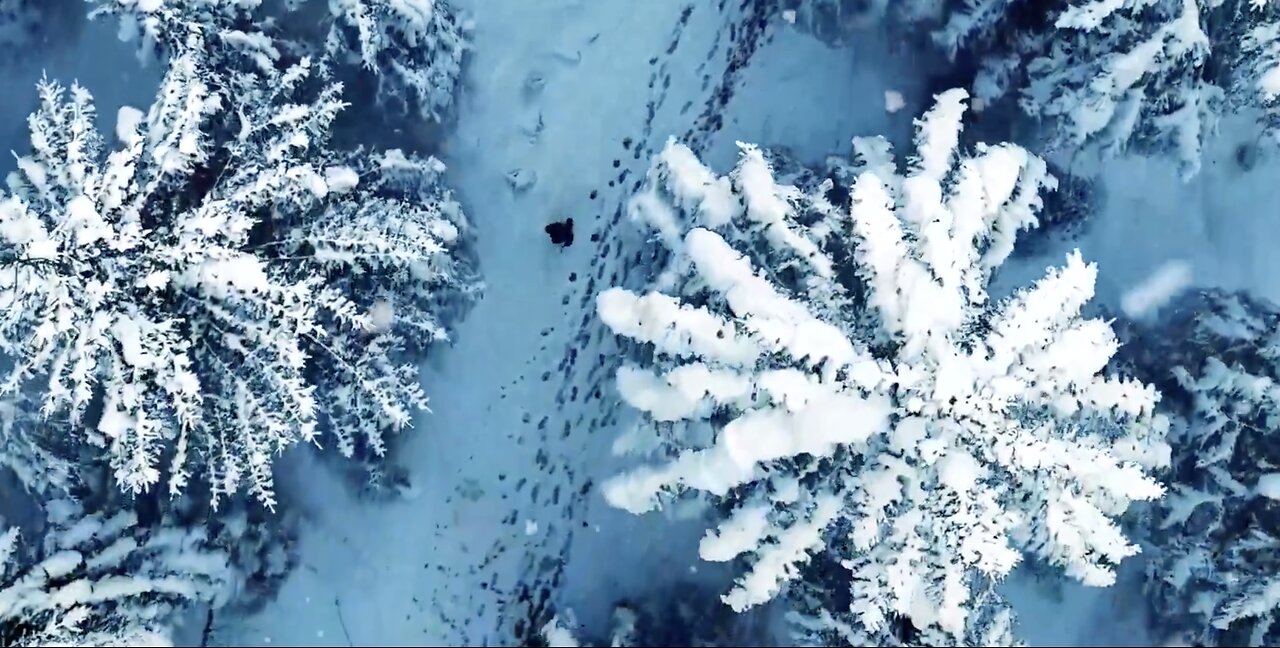 00022-Frosty the Snowman and the Best Christmas Songs of All Time Best.