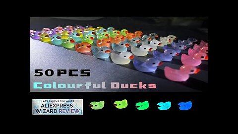 50PCS Luminous Mini Ducks Moss Microlandscape Miniature Duck Figurines Fairy Garden Review