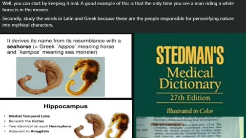 The biblical story of Christ is actually a personification of your biochemical body.