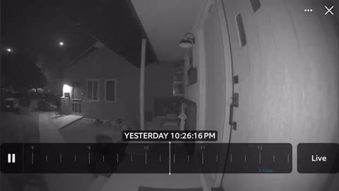 👁️🛸 Strange Catch on Ring Camera! | TheTruthAbove