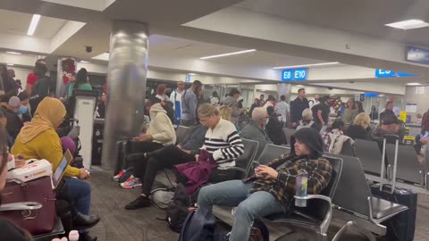 AA Grounds All Flights, FAA Stops on Xmas Eve