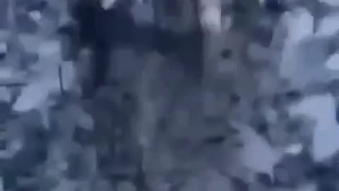 SITREP 12/26/25: AFU Flees Gulyaipole, as Russia Stumbles in Murky Kupyansk