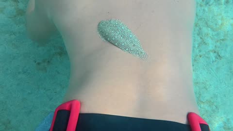 Free Diver Twerks to Remove a Flatfish Stuck to Him