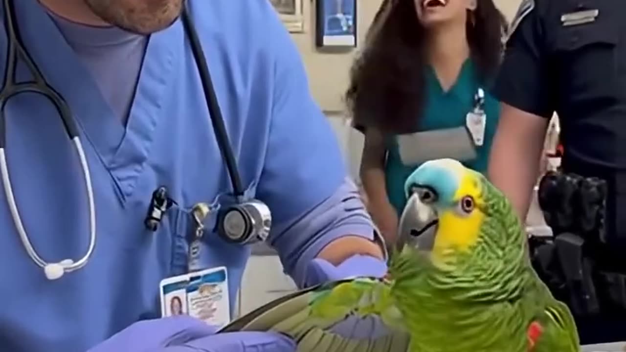 This Parrot Just Realized He Can’t Fly So He Walks Like a Boss 🦜💀 #papagoiecho #parrot #funny #birds