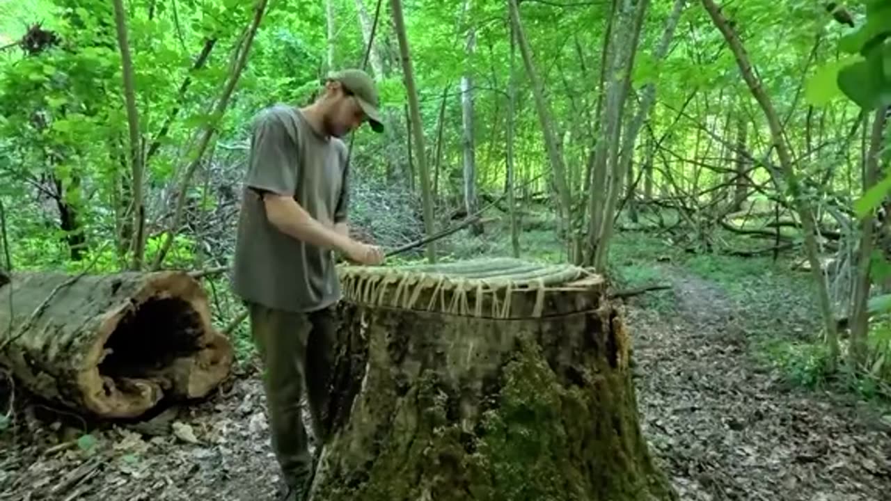 Treehouse Tour: Inside Our Tiny Forest Home