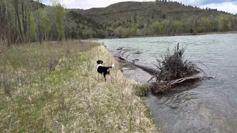 South Fork Snake River canyon camping.