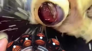 😮✨ Satisfying Machine In Action For You! | FeedMyCuriosity