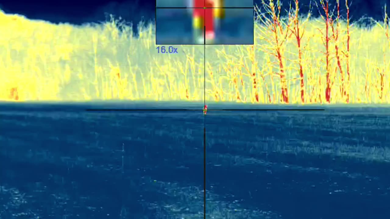 2nd Coyote of a double Stand last Hunt. Public land Ohio