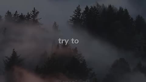 📖❤️ Daily Prayer | In God We Trust Daily