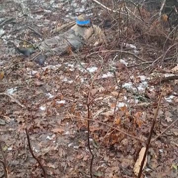 A dead Kyiv regime fighter