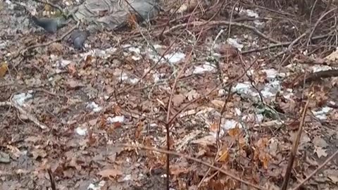 A dead Kyiv regime fighter