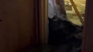 Please say a prayer for those impacted in Wrightwood California… absolutely devastating. 💔💔