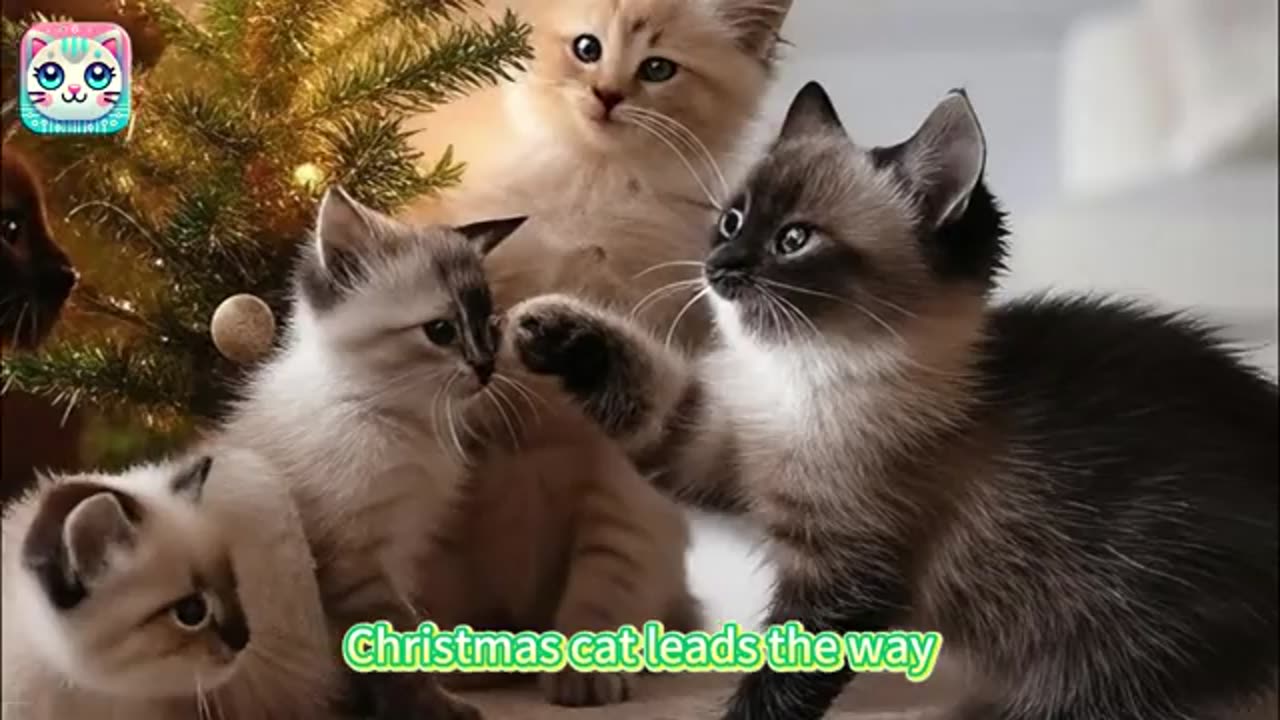 Howls Melody: Jingle Paws March