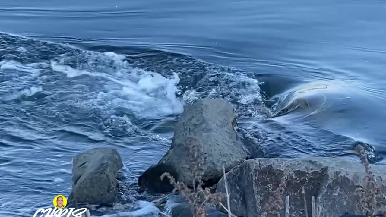 GENTLE WATER FLOWS OVER A ROCK!