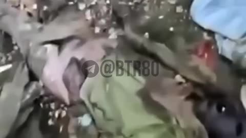 Ukraine Russia conflict /SMO/war combat footage 11/4/2025