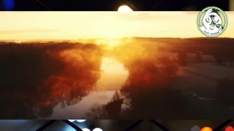 Plot Sickens: A New American Government - Rebuilding on National Socialist Principles