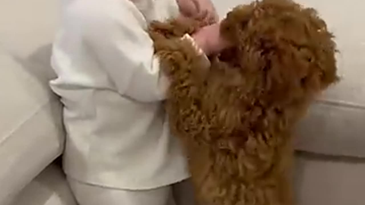 Adorable Puppy and Baby Meet for the Very First Time