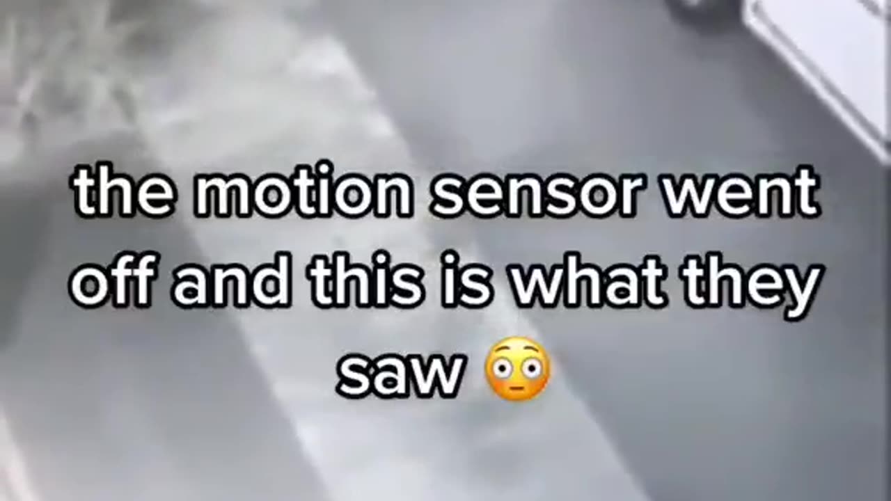 😨👻 Skinwalker Encounter! Ghostly Toksa | TheHauntingHour