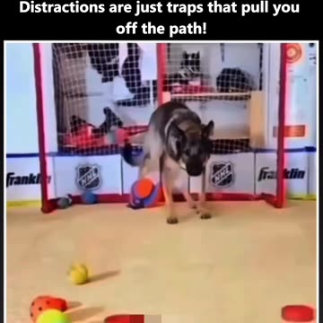 Stay Focused, Ignore the Noise