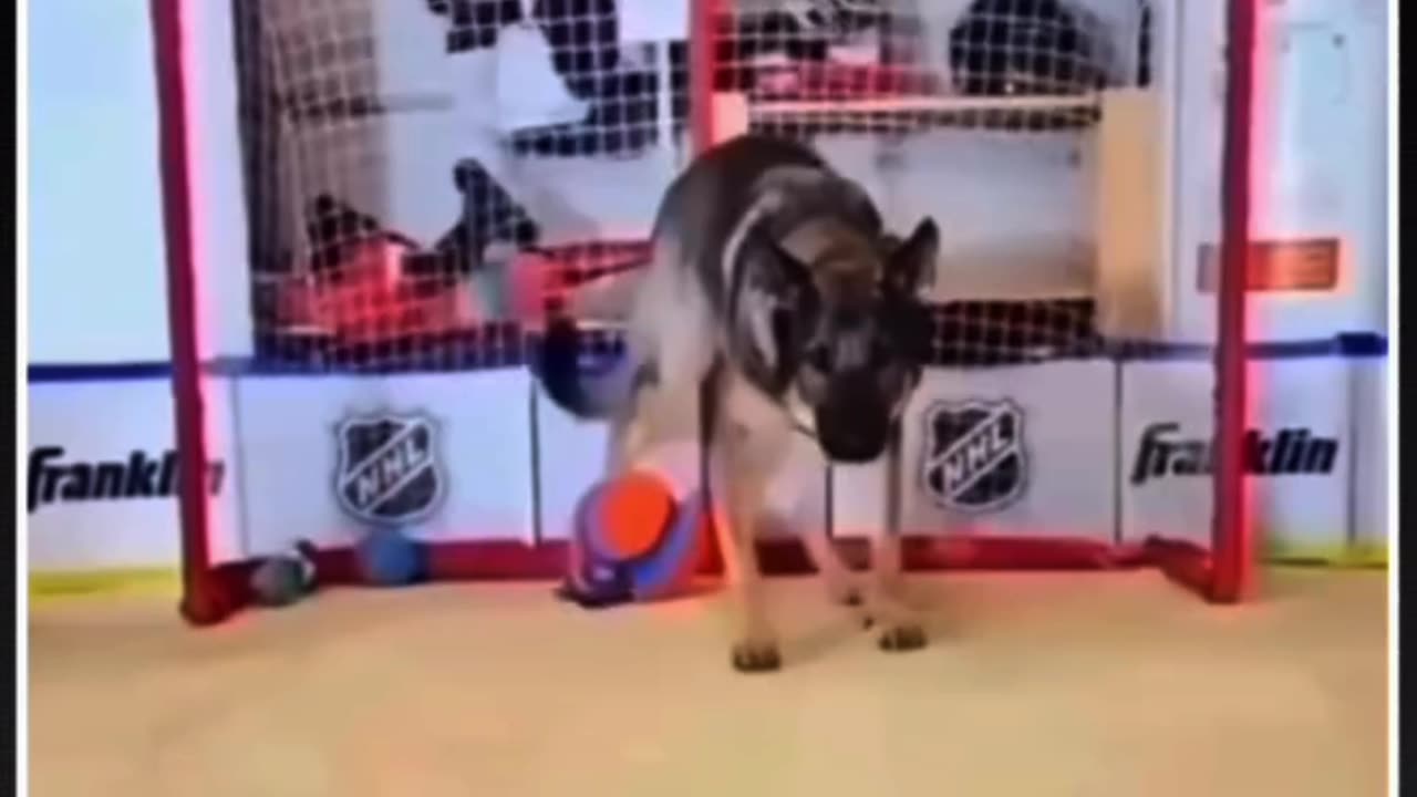 Stay Focused, Ignore the Noise