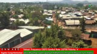 Oduu Waaree ONM-ABO Sadaasa 21-2025 itti dhiyaadhaa!