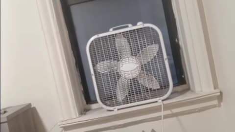 Outraged New Yorkers demand at Federal Plaza that ICE get out of NYC 🗽