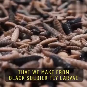 New world order milk....