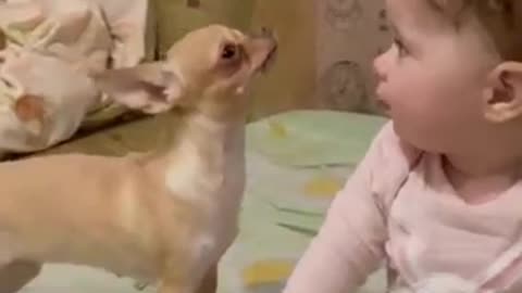 Puppy’s Sweet Bond With Baby! Prepare To Smile!