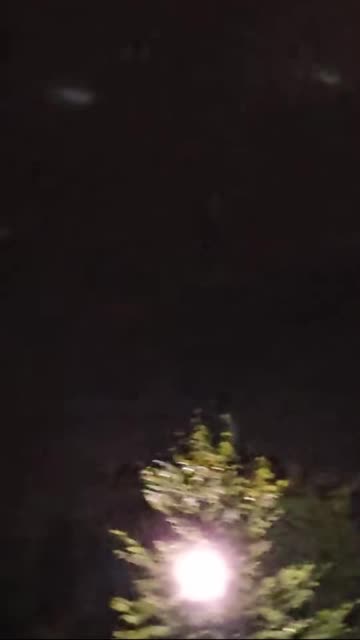 So many sightings all over the UK the last couple of weeks!