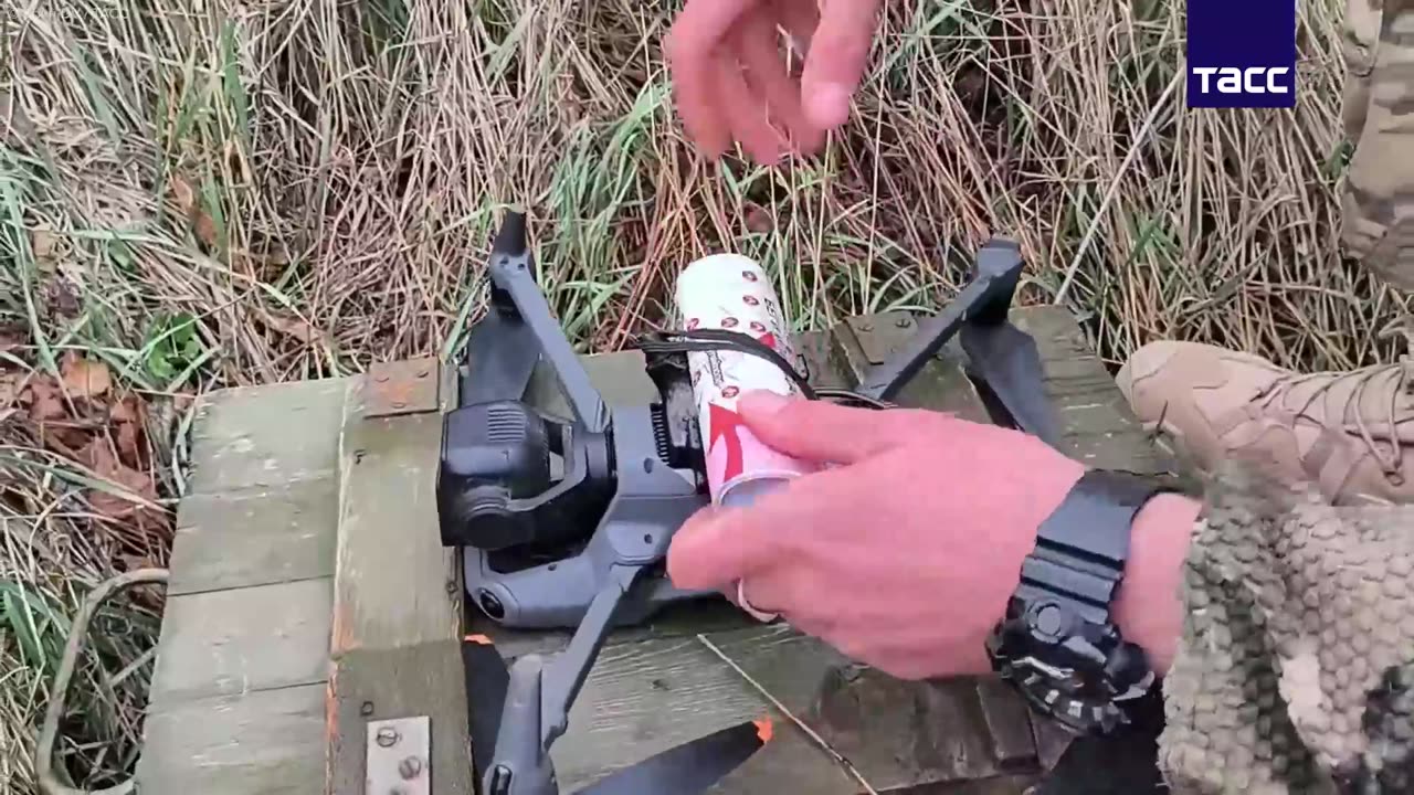 "Leave of surrender save your life.