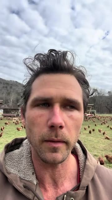 Vital Eggs controversy