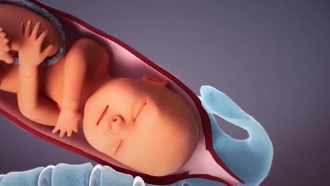 Labor And Delivery Child Birth 3D Animation