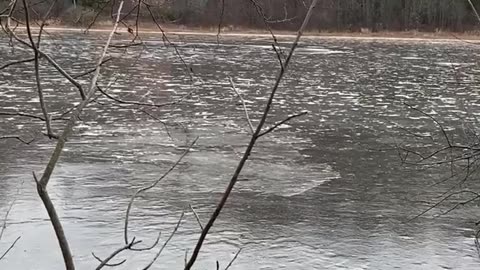 🌲👻 Strange Entity Recorded on Hiking Trail in Minnesota | TheHauntingHour